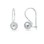 Ball Earrings in 14K White Gold