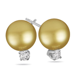 0.15 Cts Diamond & 11-11.5 mm Golden South Sea Pearl (AAA) Earrings in 14K White Gold