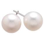 7-7.5 mm White Freshwater Cultured Pearl (AA) Earrings in 18K White Gold