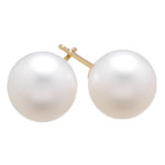 5-5.5mm White Akoya Cultured Pearl (AAA) Earrings in 14K Yellow Gold